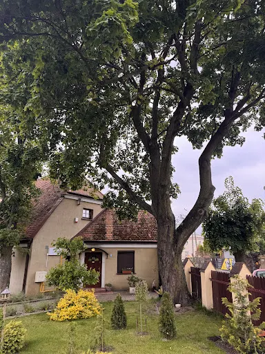 Gabinety lekarskie- medycyna estetyczna